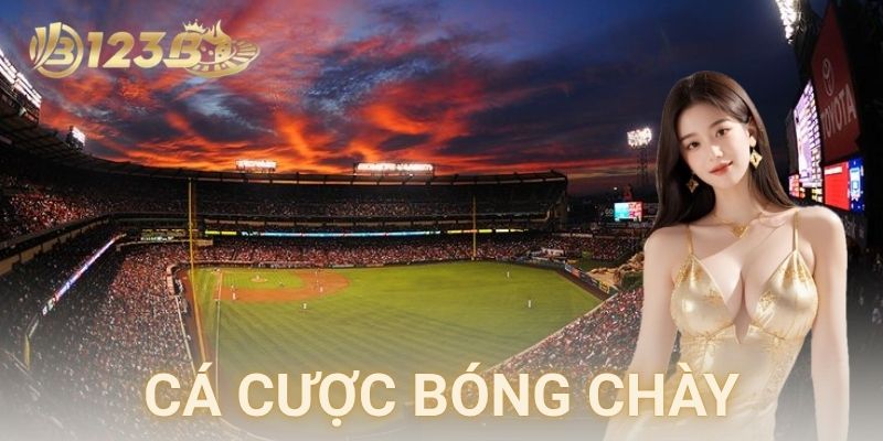 Cá cược bóng chày có gì đáng để xuống tiền?