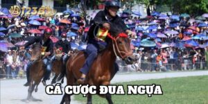 Cá Cược Đua Ngựa 123B