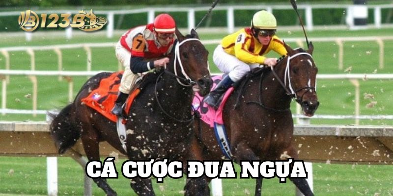 Kinh nghiệm Cá Cược Đua Ngựa cho tân thủ