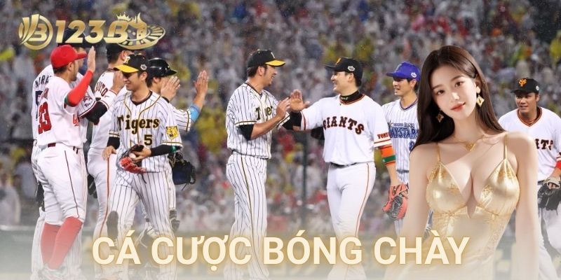  Lưu ý khi chơi kèo playoff và cược dài hạn