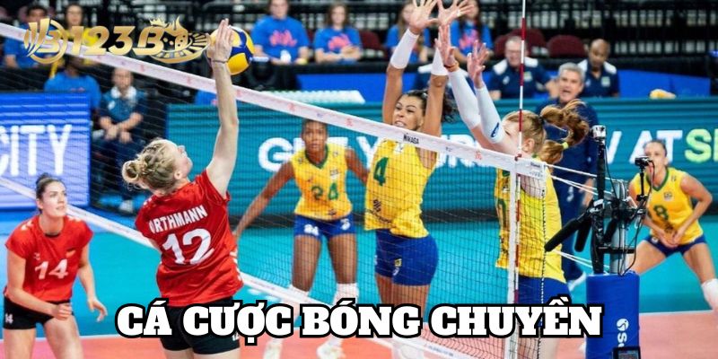 Phân tích kèo Cá Cược Bóng Chuyền chính xác