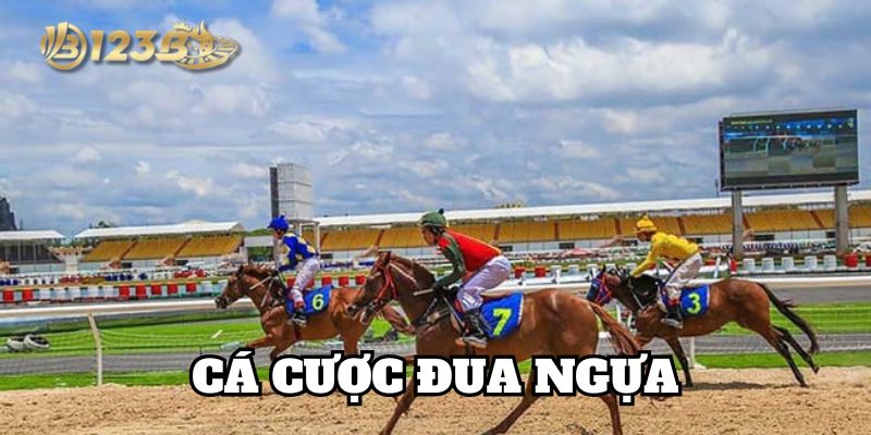 Phân tích tỷ lệ kèo Cá Cược Đua Ngựa